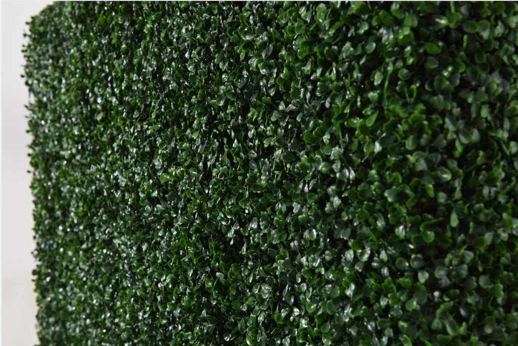 AGPL 32" Boxwood Hedge Box Without Planter (48" W 32" H 12" D) TOP Cover Panel is Included