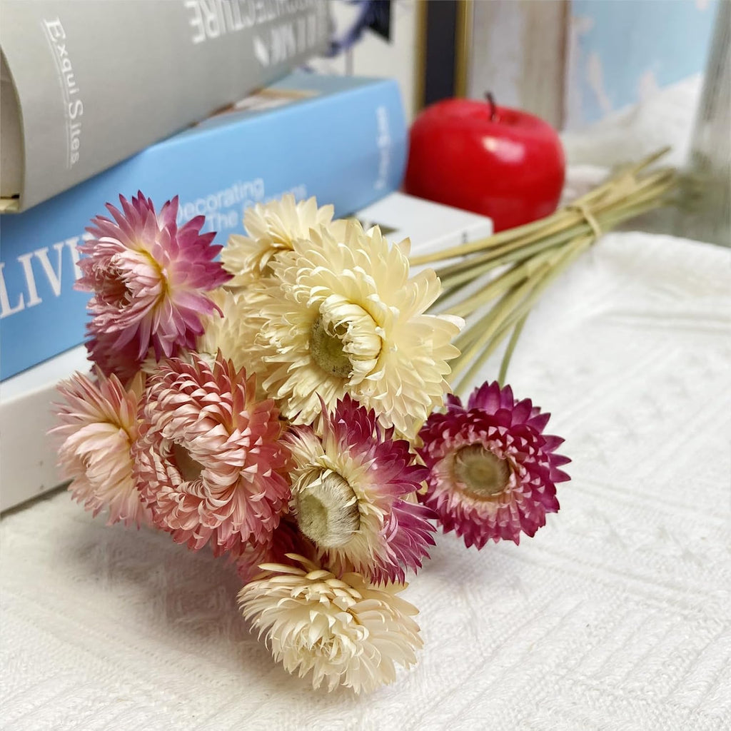L'BREVOGA Dried Flower Bouquets, 16 pcs 100% Natural Daisy Strawflower for Decoration Home Party - Pink & White