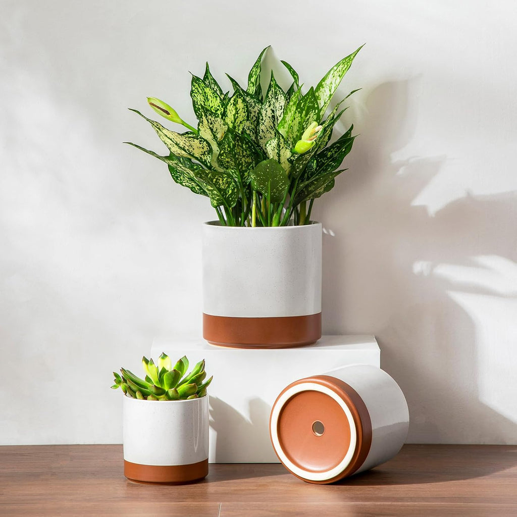 vancasso Ceramic Plant Pots, 4.25+5.25+6.25 Inch Planter Pot with Drainage Hole, Flower Pots for Indoor Outdoor Plants, Set of 3, Khaki