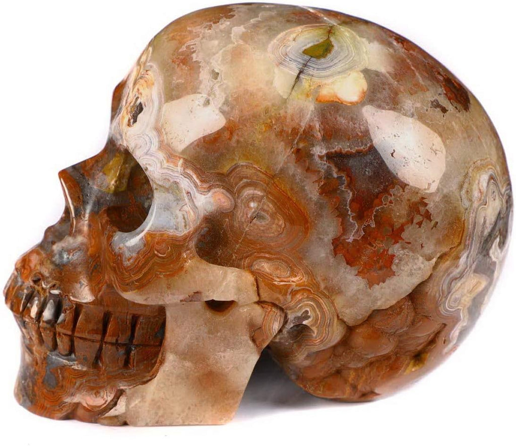 Skullis 4.1" Red Crazy Lace Crystal Skull, Hand Carved Gemstone Fine Art Sculpture, Reiki Healing Stone Statue Z8