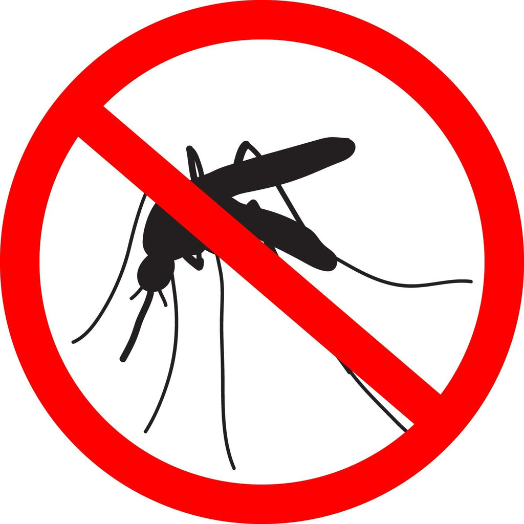 Rescue 50-Gallon Whiskey Rain Barrel with Black Bands – Includes Planter, Rain Water Diverter, Outlet Hose – Flatback Design – Brown