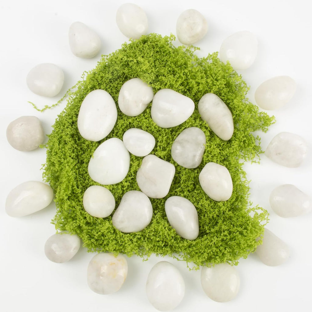River Rocks - Natural Polished White Pebbles, 0.5-1 inch, 10 Lbs - Ideal for Indoor Planting, Vase Filling, Aquarium Decoration, and Garden Landscaping (White, Weight: 10 LB)