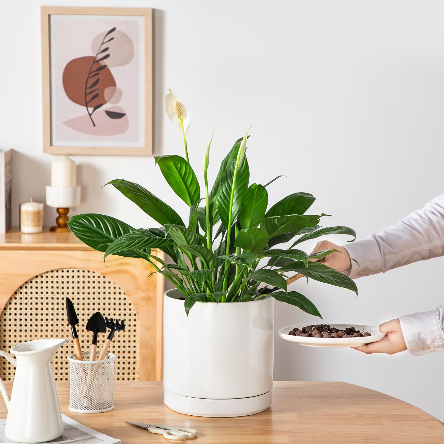 vancasso Ceramic Plant Pots, 8.25 Inch Ceramic Pot for Plants, Planters Pots for Indoor Plants with Drainage Holes, Flower Pot for Indoor House Plant, White