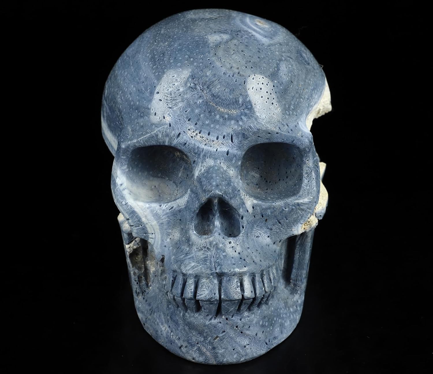 Skullis 5.0" Blue Sponge Coral Realistic Crystal Skull, Hand Carved Gemstone Fine Art Sculpture, Reiki Healing Stone Statue.2898