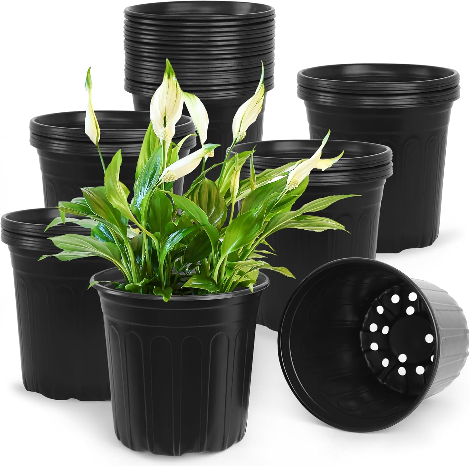 50 Pcs 2 Gallon Nursery Pots,Thickened Soft Plastic Plant Pots with Holes,Garden Flower Seedling Pot Container for Seedling,Cuttings,Transplanting (Black)