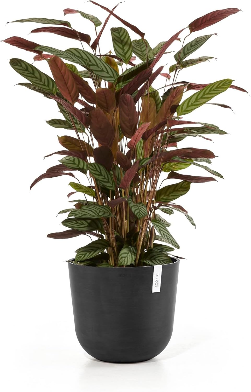 Ecopots Oslo Durable Modern Round Indoor/Outdoor Recycled-Based Composite Flower Pot Planter, Dark Grey, 14"