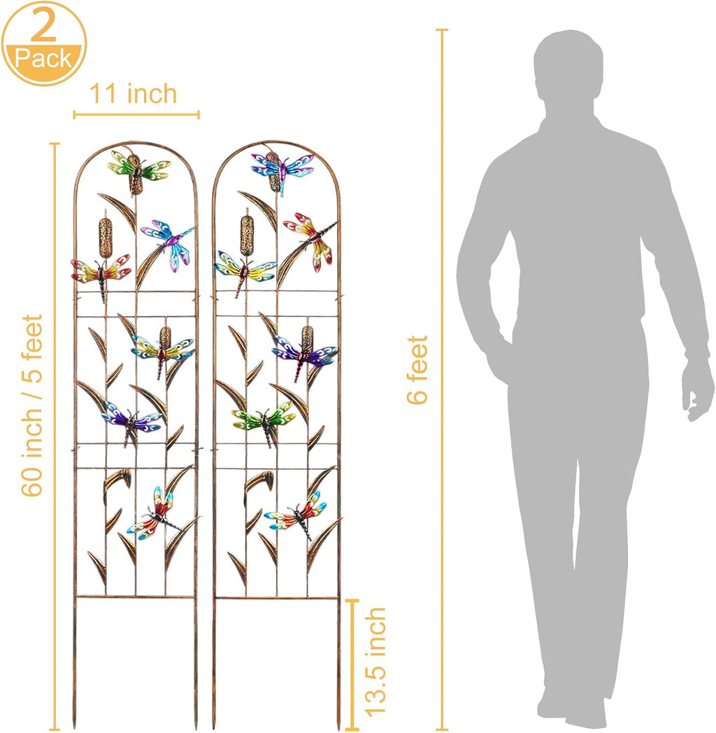 LEWIS&WAYNE 2 Pack Metal Garden Trellis with Colorful Dragonfly 60 Inch High Outdoor Decoration Arched Fence Trellis for Climbing Plants for Patio, Lawn, Yard, Backyard, Wall Brackets