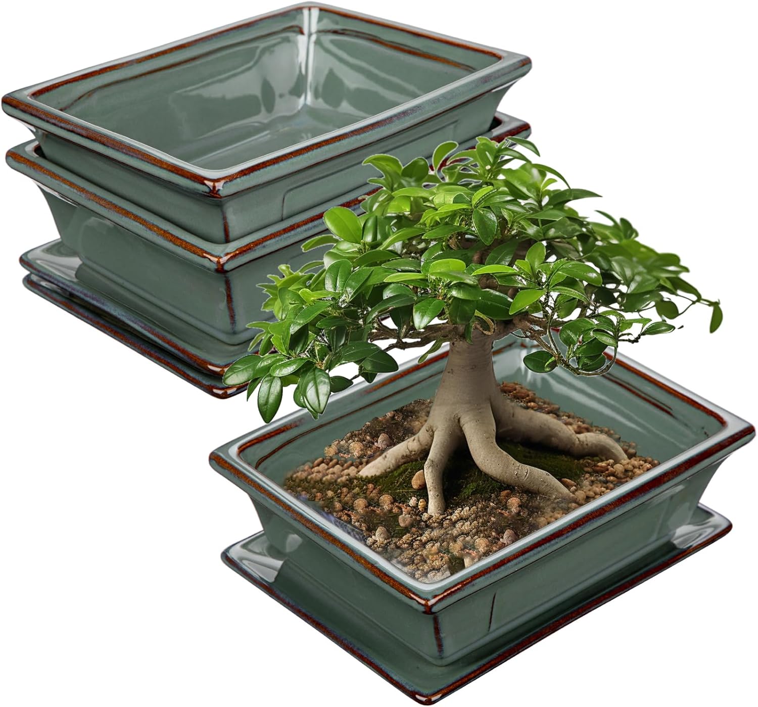 Ceramic Bonsai Pots with Drainage Trays Set of 2, Green Glazed Bonsai Planters for Indoor/Outdoor Use, Rectangular Shallow Bonzai Tree Pot for Succulent, Orchids, Cacti, Home, Patio, Garden, 7.5"x5.5"