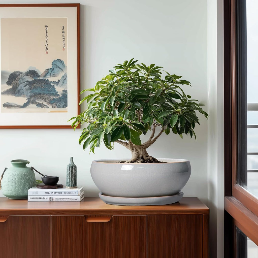 SQOWL 12 Inch Bonsai Pots - Large Ceramic Succulent Pots with Drainage Hole and Saucer, Shallow Planter for Indoor Outdoor Plants Flowers, Round Planter Bowl, Garden Decor, Gifts for Women, Gray