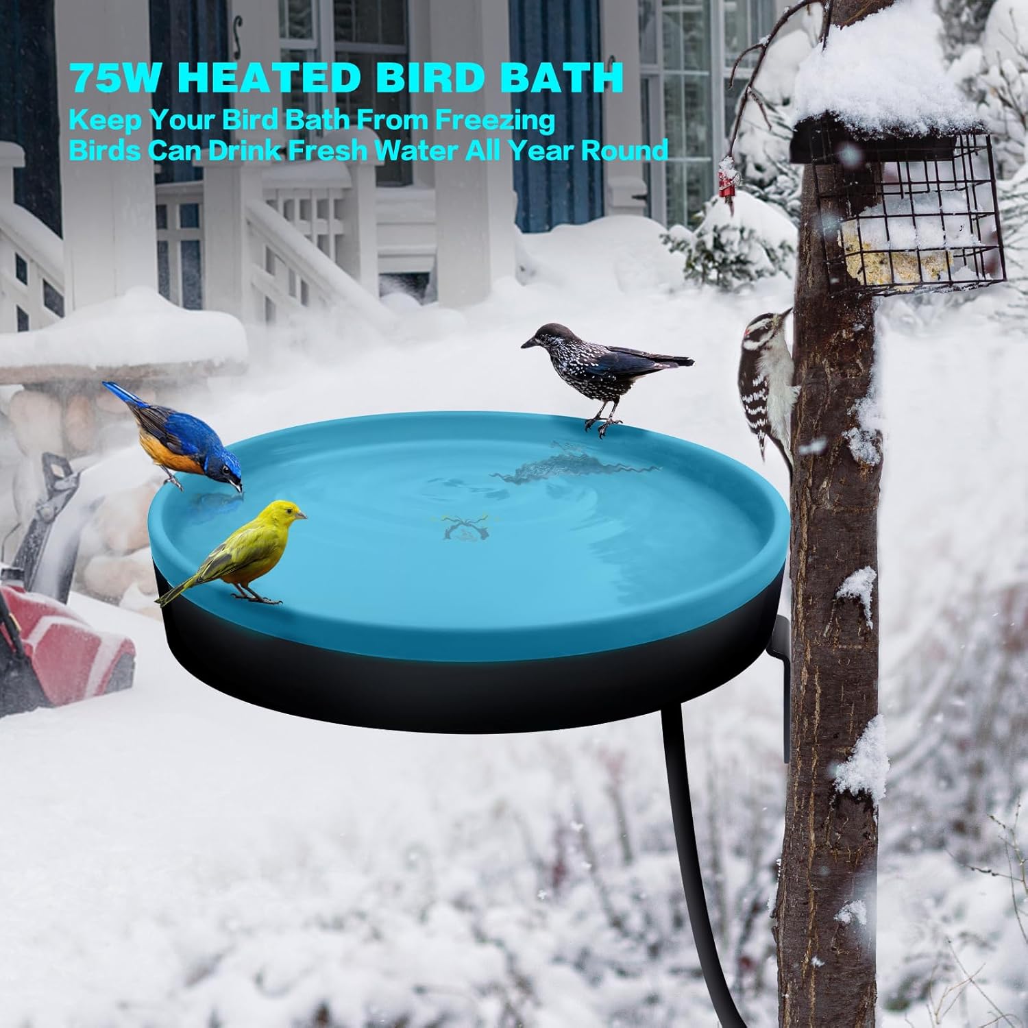 Heated Bird Bath for Outdoors for Winter, 3 Easy Ways to Mount Detachable Bird Bath Bowl, 75W Heated Bird Baths with Thermostatically Controlled for Garden Yard Patio Lawn, Blue