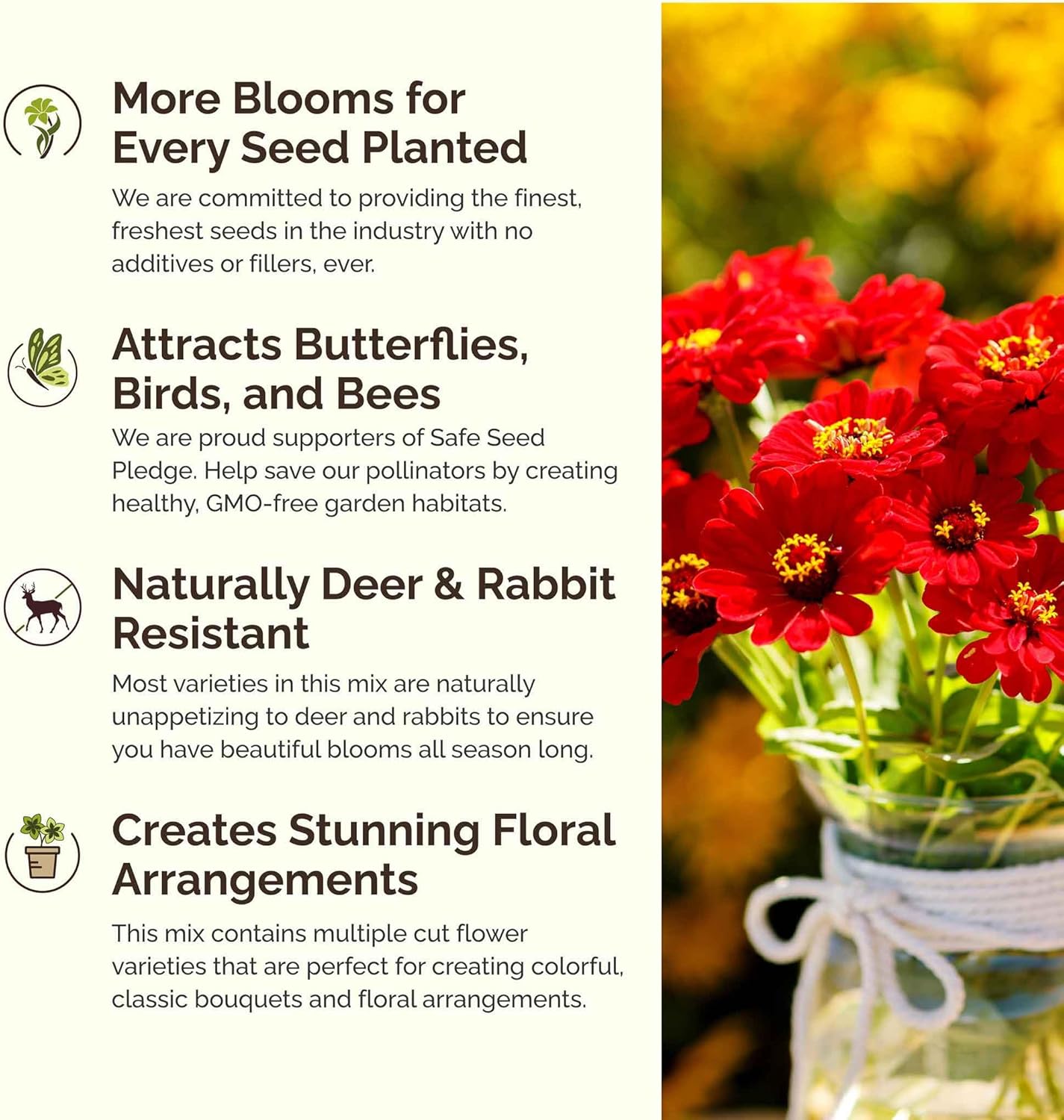 Eden Brothers Fiery Flower Mixed Seeds for Planting, 1/4 lb, 120,000+ Seeds with Zinnia Scarlet Flame, Plains Coreopsis | Attracts Pollinators, Plant in Spring or Fall, Zones 3, 4, 5, 6, 7, 8, 9, 10