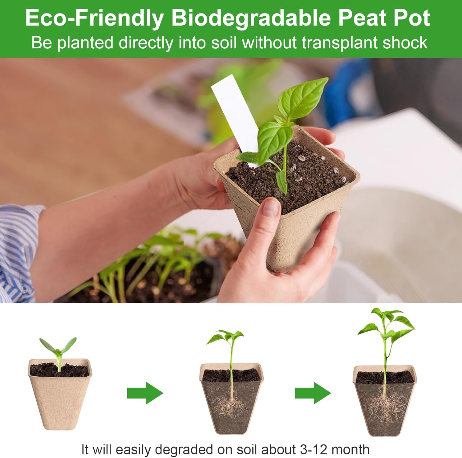 Square Peat Nursery Pots 150 Pcs 3in Biodegradable and Label, Used for Outdoor Gardens in Plant Nurseries
