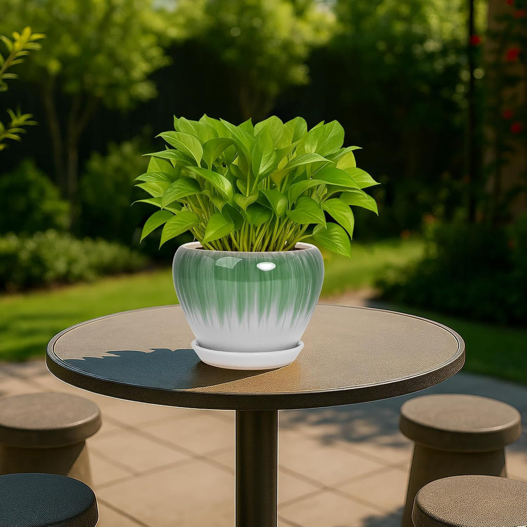 Deep Dream 6 Inch Plant Pots- Ceramic Planter Pot with Drainage Hole and Saucer, Round Flower Pot for Indoor Outdoor Succulent, Snake Plants and Cactus, White&Green