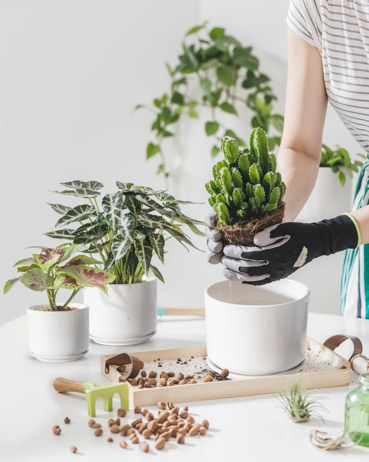 EFISPSS Plant Pots, 4+5+6 Inch Pots for Indoor Plants, Ceramic Planter Pot with Drainage Hole, Flower Pots for Succulent Cactus, Set of 3 - White