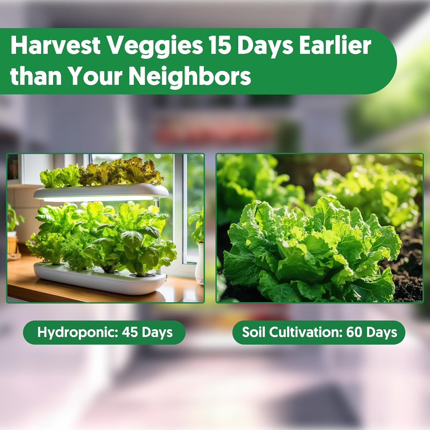18 Varieties Herb & Vegetable Seeds for Hydroponic, 13000+ Seeds for Indoor Outdoor Garden Planting Home Veggie Herb, Heirloom Non-GMO Culinary Collection Gift Pack