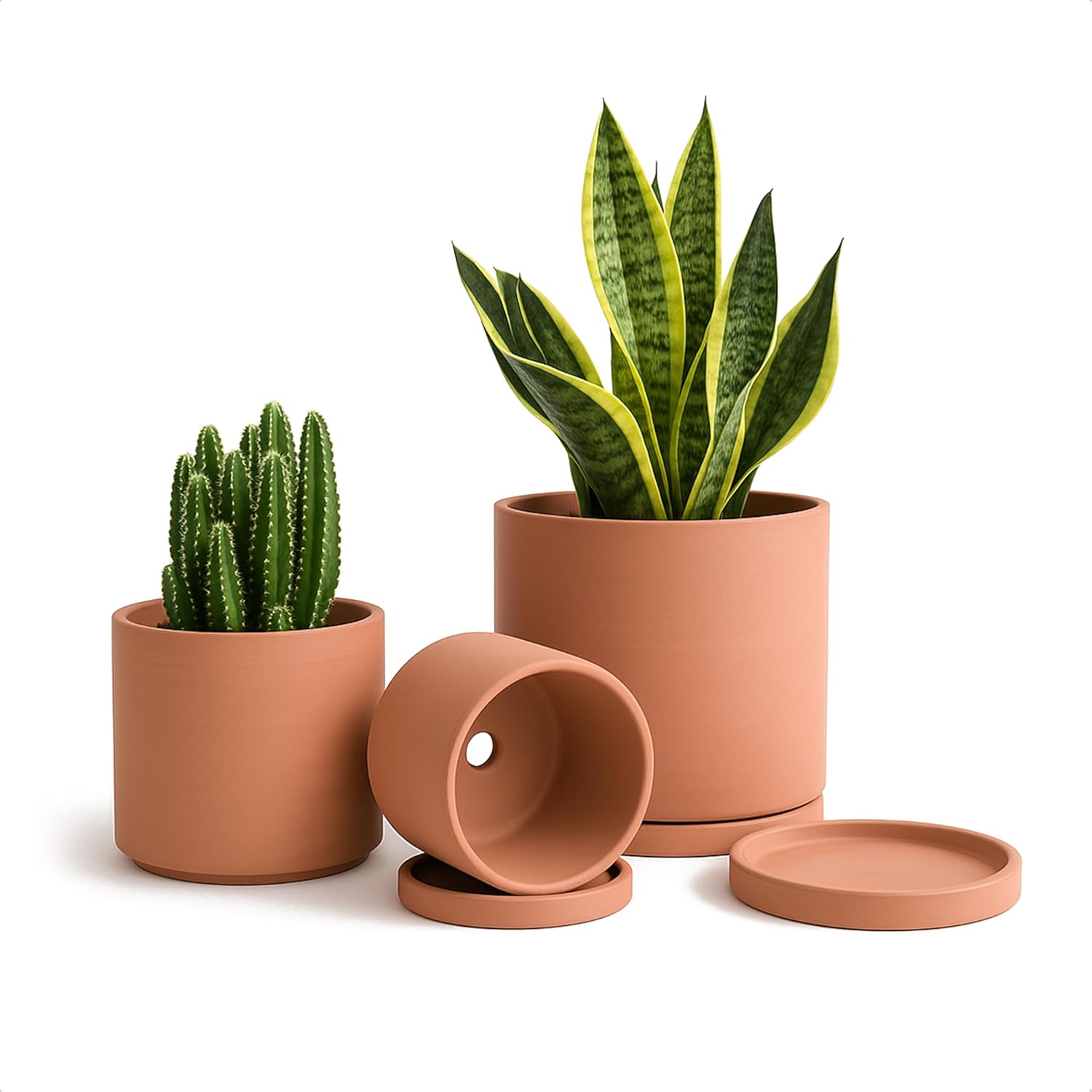 D'vine Dev Terracotta Pots for Plants, 4.2 Inch 5.3 Inch 6.5 Inch, Succulent Planter Pot with Drainage and Saucer, 40-T-A-0