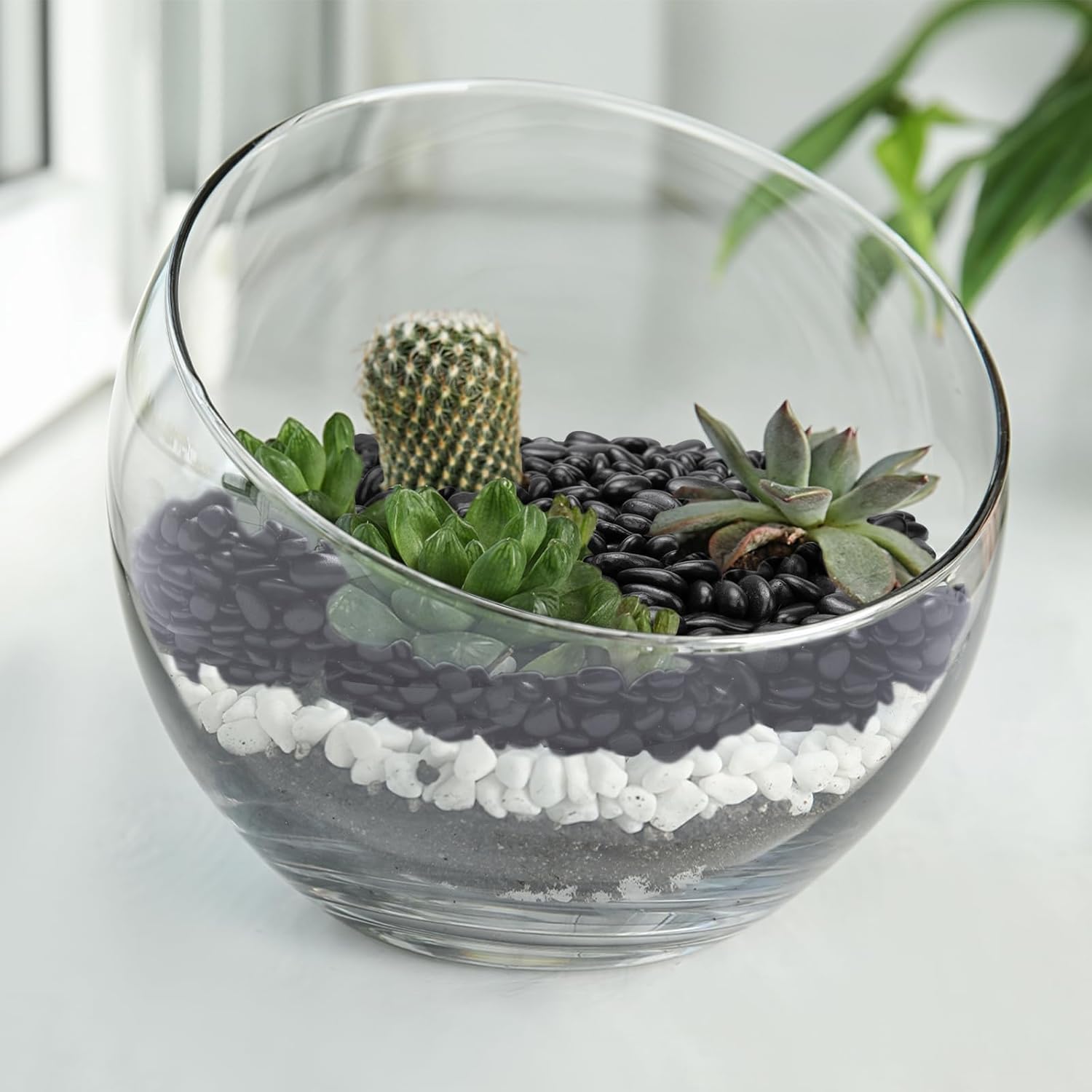 10 lbs Black Pebbles for Indoor Plants, Succulent, Bamboo, Vase, 3/8" Plant Rocks for Pots Indoor, Small River Rocks Decorative Pea Gravel, Highly Polished