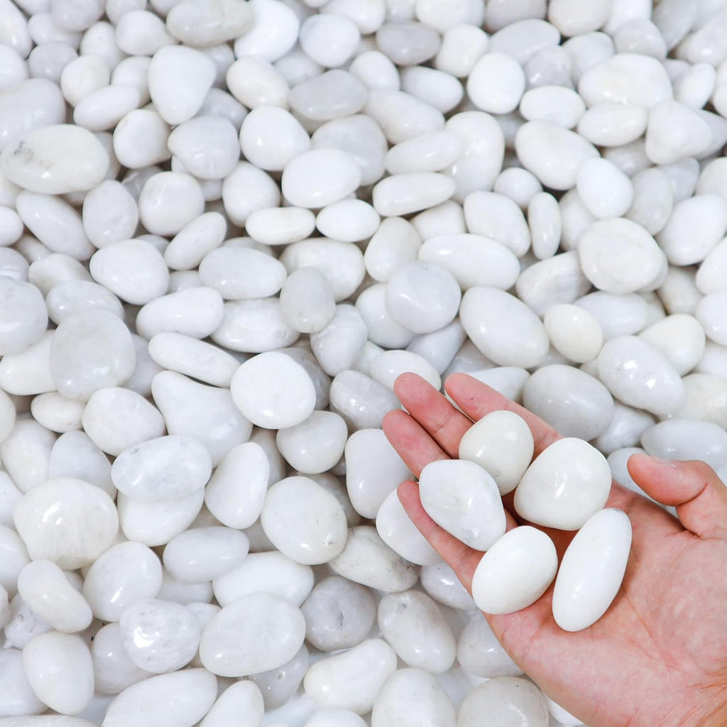 45lbs White River Rocks, 1-2 Inch Natural Pebbles for Indoor Plants, Polished Pebbles for Garden Landscaping Aquariums Vase Fillers and Outdoor Decorative Stones