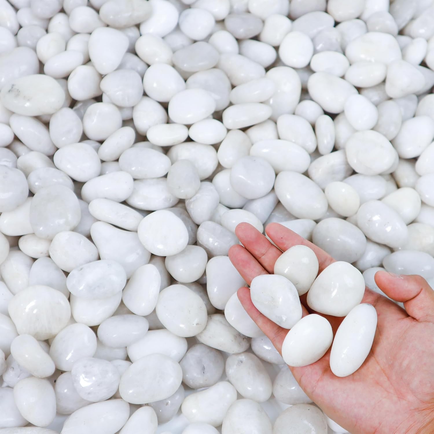 45lbs White River Rocks, 1-2 Inch Natural Pebbles for Indoor Plants, Polished Pebbles for Garden Landscaping Aquariums Vase Fillers and Outdoor Decorative Stones