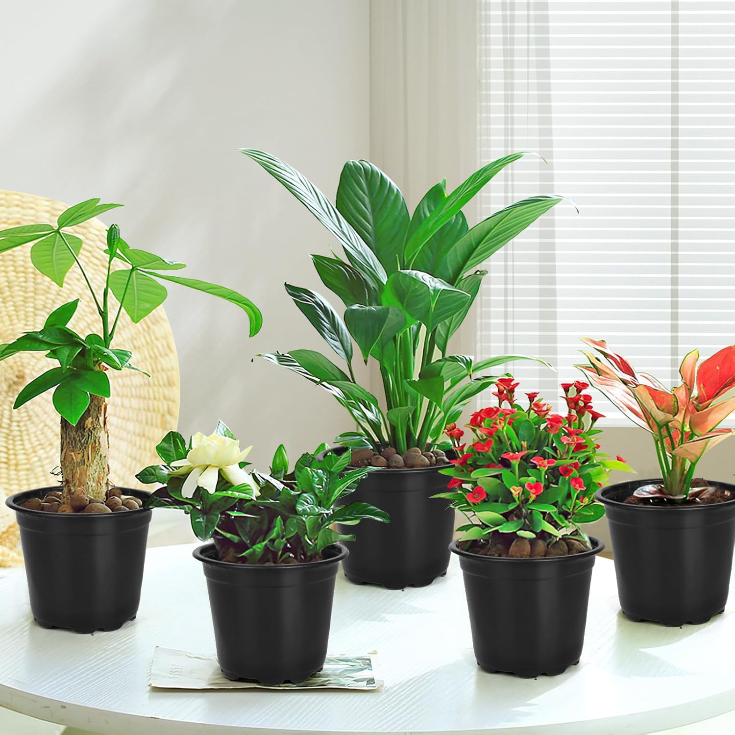 120 Pack 4 Inch Nursery Pots for Plants, Plastic Seeds Starter Pots with Drainage Holes, Small Plastic Plant Pots for Succulents Seedling Cutting Transplanting