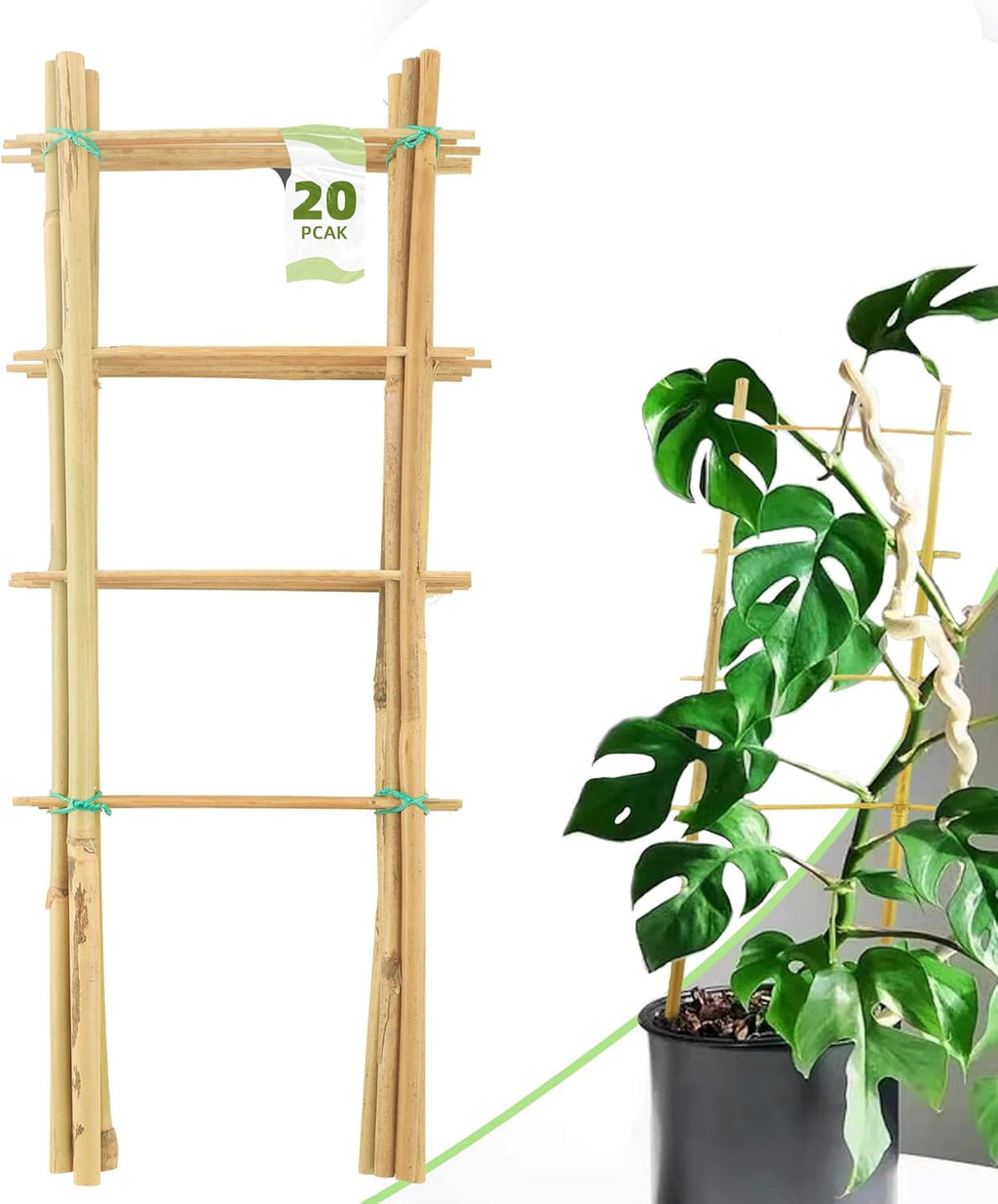 Avalution 20 Pack Bamboo Trellis for Climbing Plants Indoor, 16 Inch Garden Ladder Trellis for Potted Plants, Fan-Shaped Small Plant Support Trellis for Houseplants Ivy Hoya Vine Monstera