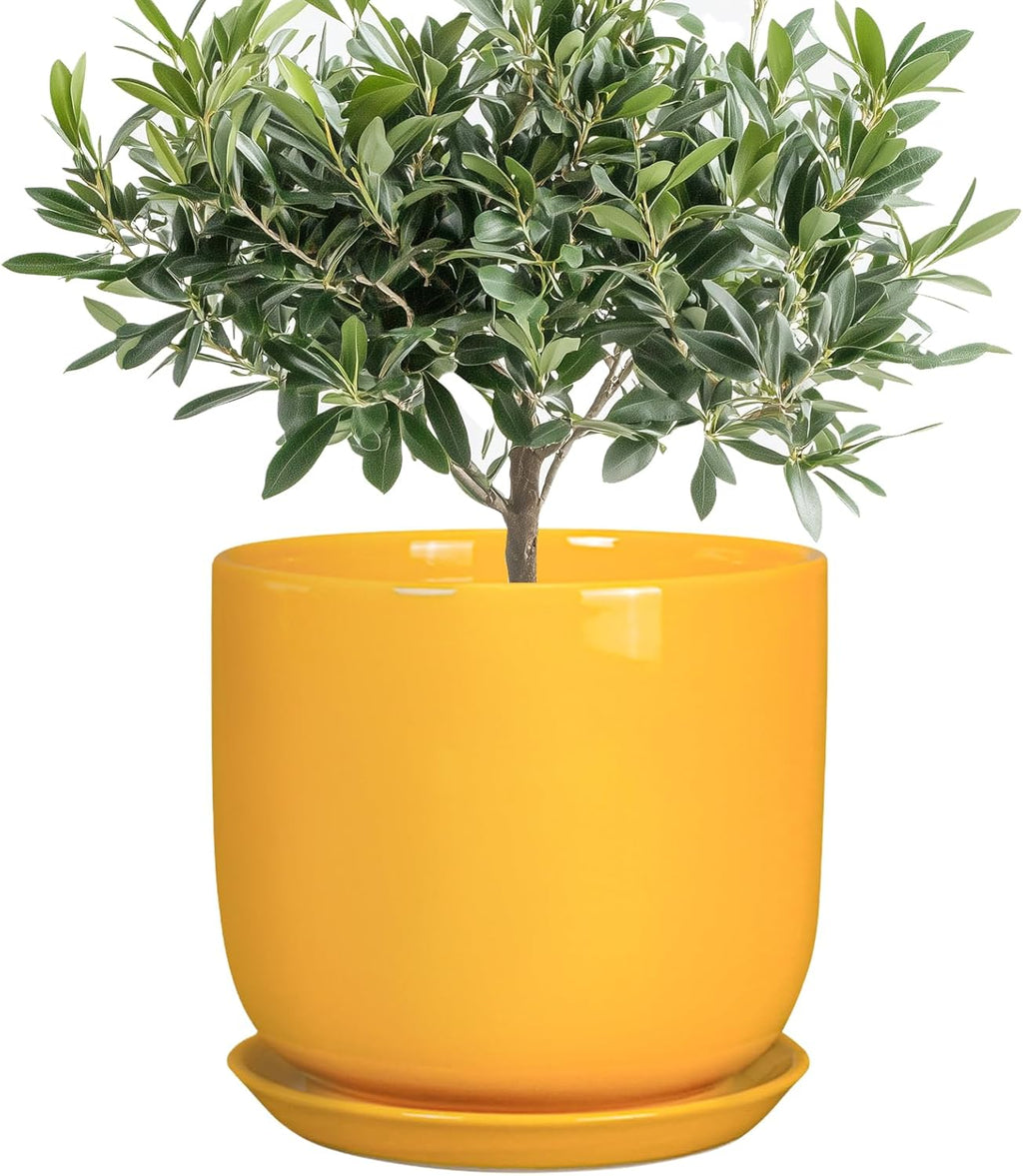 Ceramic Plant Pot 8 Inch - Decorative Modern Round Indoor Planter for Plants Flowers with Drainage Hole and Saucer, House Desk Office Home Decor, Yellow