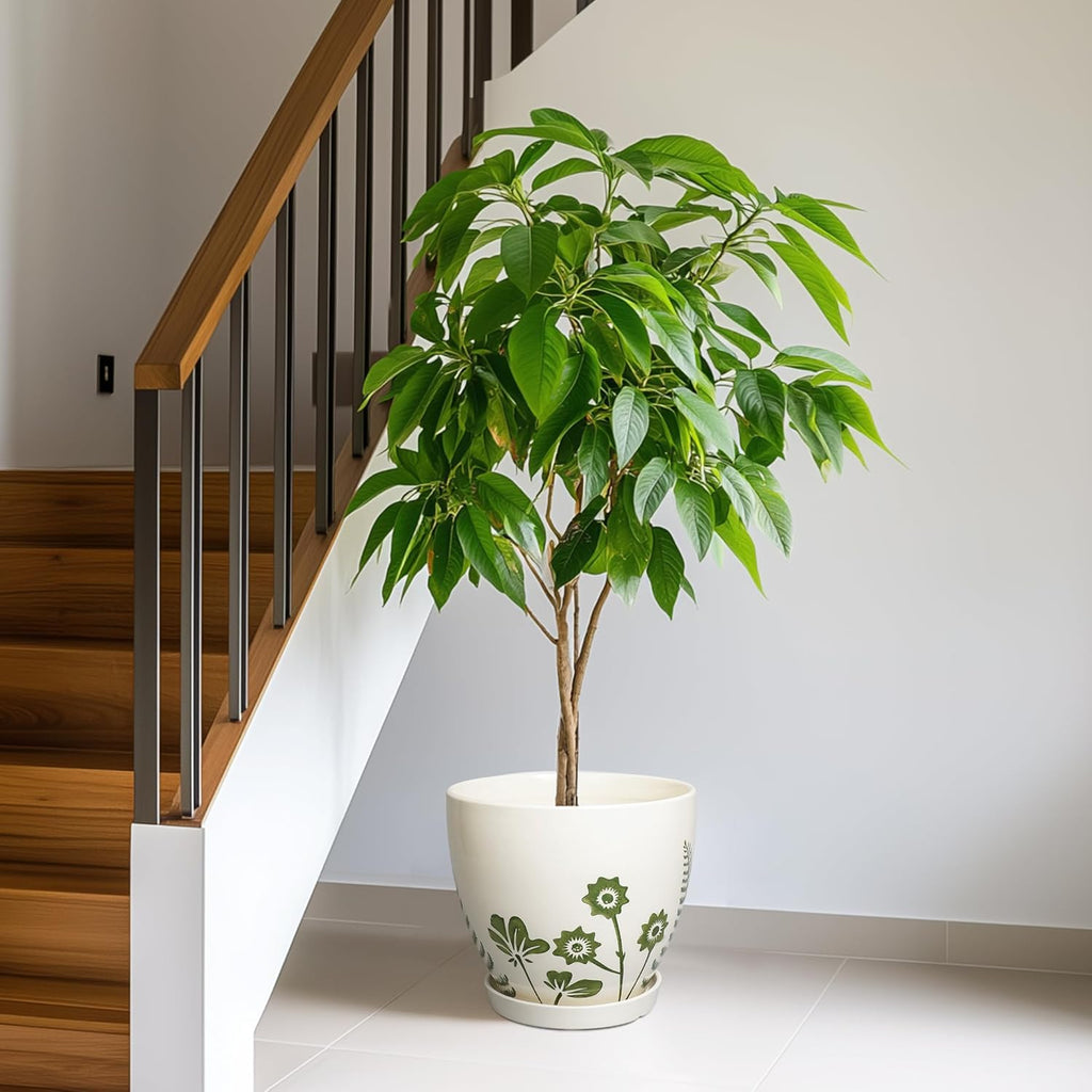 Ceramic Plant Pot 10 Inch - Ceramic Planter for Indoor Outdoor Plants, Decorative Boho Round Planter with Drainage Hole and Saucer, Housewarming Gifts, Office Garden Home Decor, White