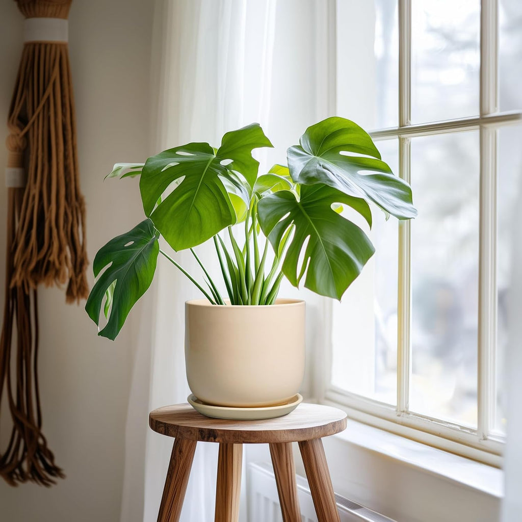 Ceramic Plant Pot - 7 Inch Mid Century Round Ceramic Planter for Indoor Plants with Drainage Hole and Saucer, Modern Home Decor, Yellow