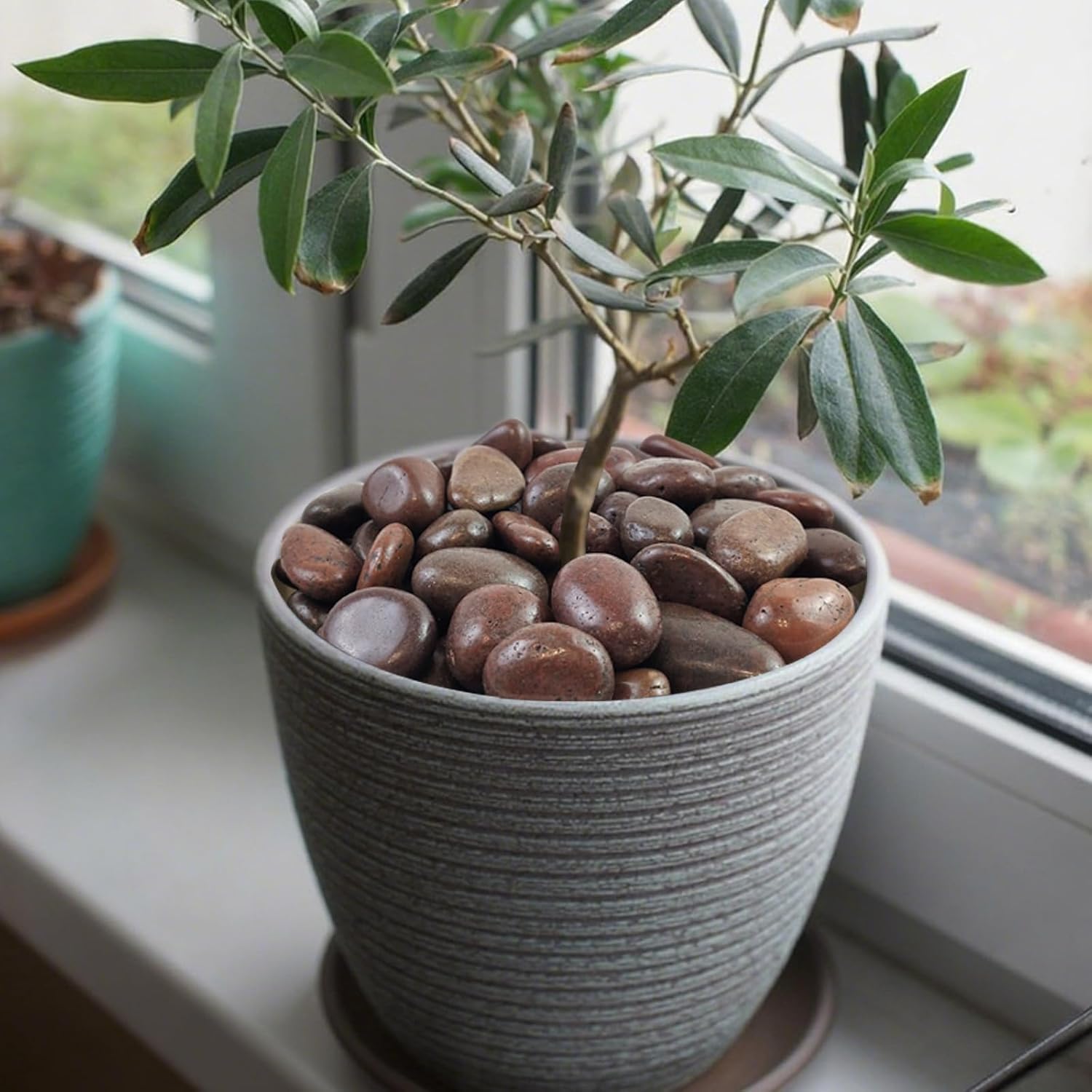 5 lbs Red River Rocks, 1-2 Inch Polished Pebbles for Indoor Plants, Decorative Rocks Stones for Landscaping, Vases, Aquariums, Fountains, Pathways, Backyard and Garden