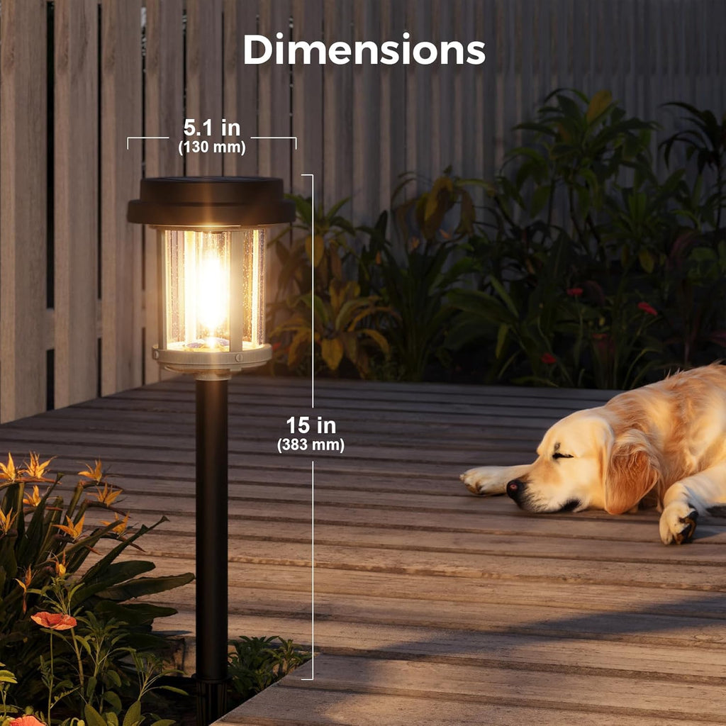 XMCOSY+ Solar Pathway Lights, 20 LM Bright Solar Light Outdoor, Waterproof Seed Glass & Metal Solar Powered Garden Lights, Outside Solar Lights for Yard Lawn Landscape Walkway(Black & Grey)