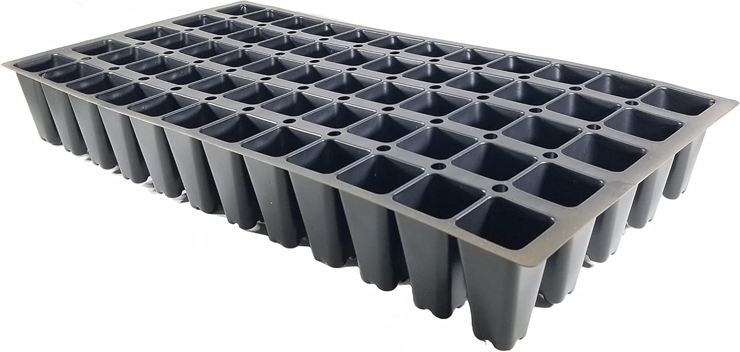 San Jose Juniper | 30 Live Plants | Juniperus Chinensis | Bonsai Drought Tolerant Cold Hardy Evergreen Groundcover