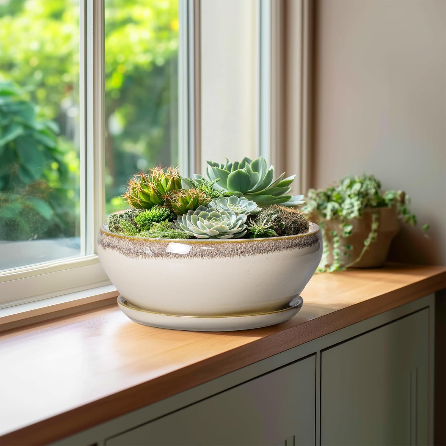 SQOWL Bonsai Tree Pots - 10 Inch Ceramic Succulent Pots, Round Shallow Planter with Drainage Hole and Tray, Bowl Planter for Indoor Outdoor Plants Flowers, Room Decor, Garden Gifts, Beige