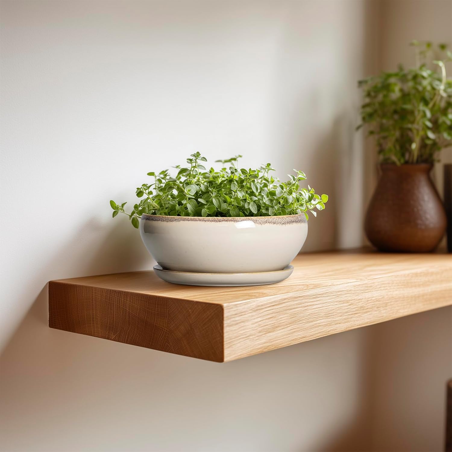 SQOWL Small Bonsai Pots - 6 Inch Ceramic Plant Pots for Succulents, Shallow Planter with Drainage Hole and Saucer, Round Planters for Indoor Outdoor Cactus Plants, House Decor, Birthday Gifts, Beige