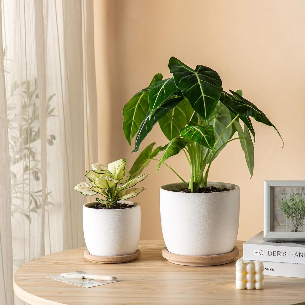 Ceramic Flower Pots Indoor-Outdoor: 7.75 Inch Large Planters with Drainage Holes & Saucer - Modern Decorative Plant Pots Ceramic for Home Gardeners (White)