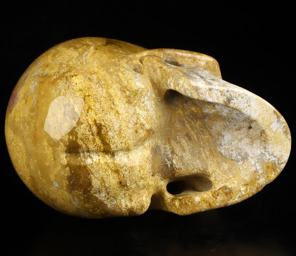 Skullis 5.0" Indian Agate Crystal Carved Crystal Skull. Hand Carved Gemstone Fine Art Sculpture.2393