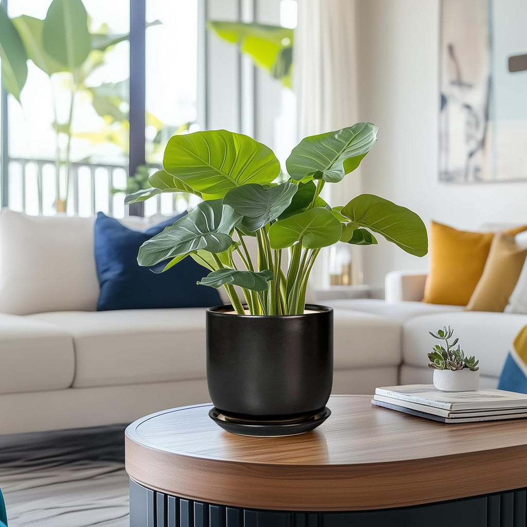 Ceramic Planter 7 Inch - Cylinder Round Modern Indoor Plant Pot for Plants with Drainage Hole and Saucer, Room Home Patio Office Patio Decor, Black