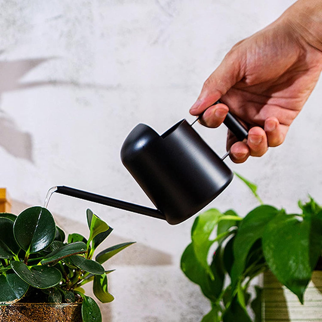 Watering Cans, 10oz/300ml Stainless Steel Long Spout Small Watering Sprinkling Pot, Indoor Outdoor Garden Flower Succulents Plant Watering Cans, Stylish Gardening Decoration(Black)