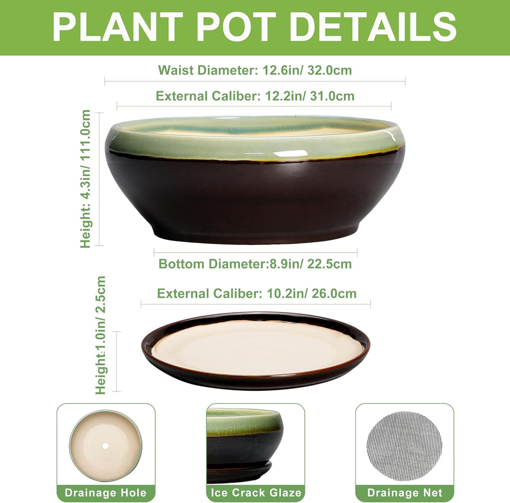 SQOWL Bonsai Pots 12 Inch - Large Ceramic Pots for Succulents with Drainage Hole and Saucer, Shallow Planter for Indoor Plants Outdoor, Round Planter Bowl, Office Decor, Gifts for Women, Green-Brown