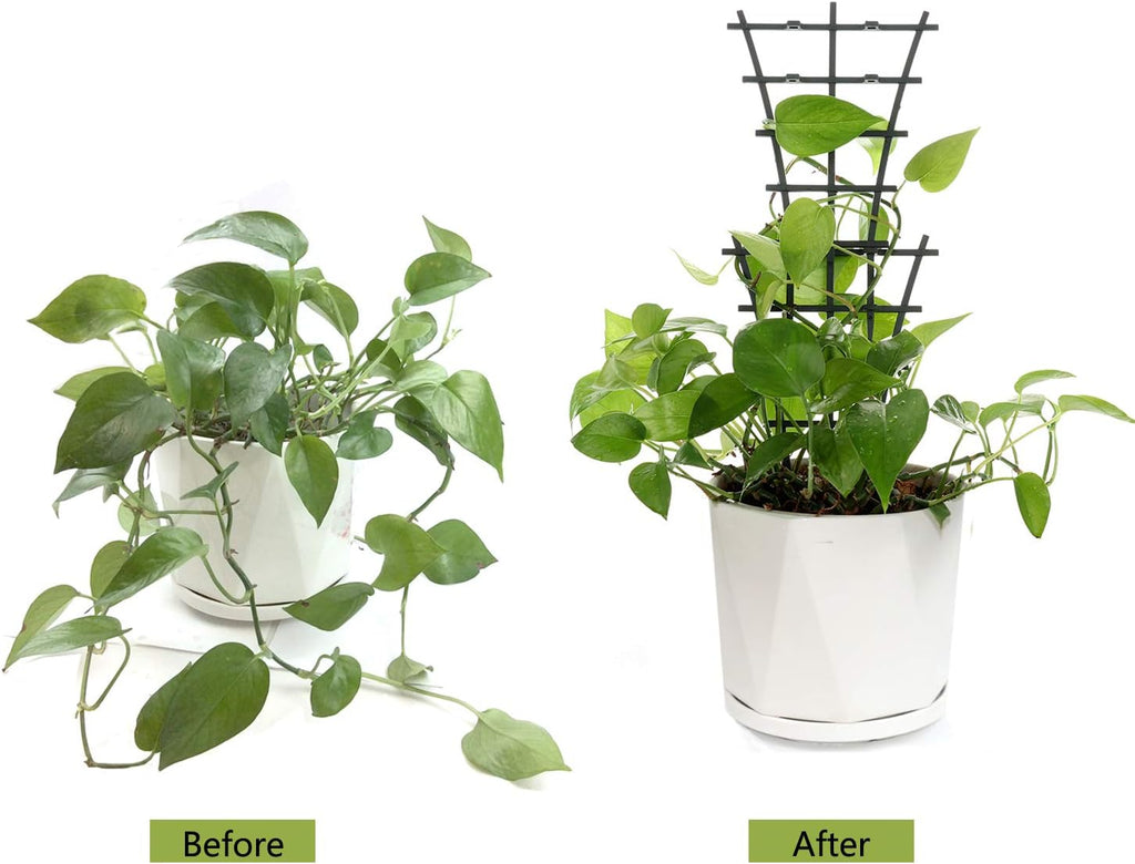 Plant Trellis Indoor, 6Pcs Stackable Plant Trellis for Climbing Plants Indoor, Small Plant Climbing Trellis for Potted Plants Plastic Climbing Plant Support Trellis for Houseplant Hoya Pothos