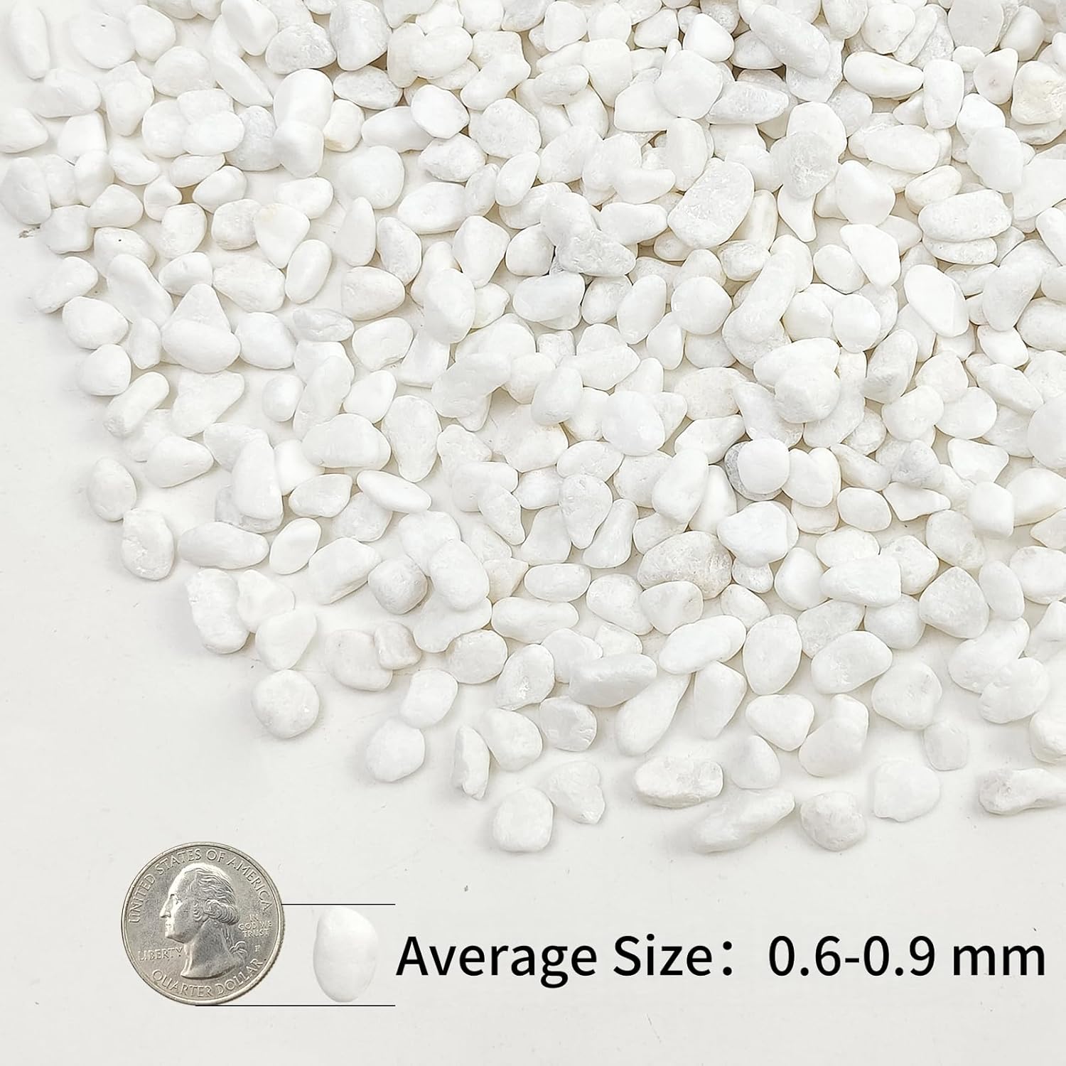 2lbs White Pebbles for Indoor Plants, 3/8inch Small Rocks for Succulent Cactus Planters, Natural Polished Pebbles, River Rocks for Plants, Vases, Garden