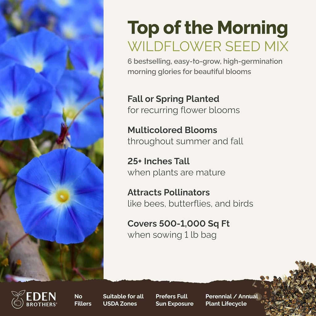 Eden Brothers Top O The Morning Flower Mixed Seeds for Planting, 1 lb, 480,000+ Seeds with Morning Glory, Moonflower | Attracts Pollinators, Plant in Spring or Fall, Zones 3, 4, 5, 6, 7, 8, 9, 10