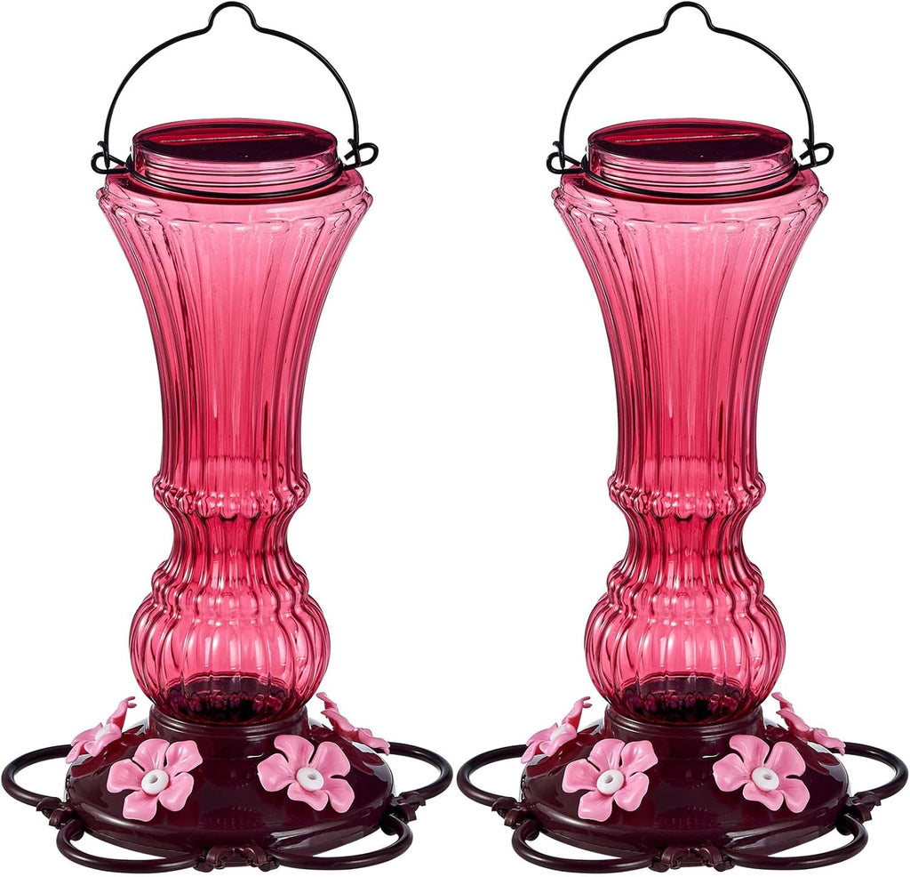 Hummingbird Feeder for Outdoors Plastic Humming Bird Nectar Feeders with 5 Flower Feeding Ports Hanging for Garden Decor, 20 oz (2 Pack