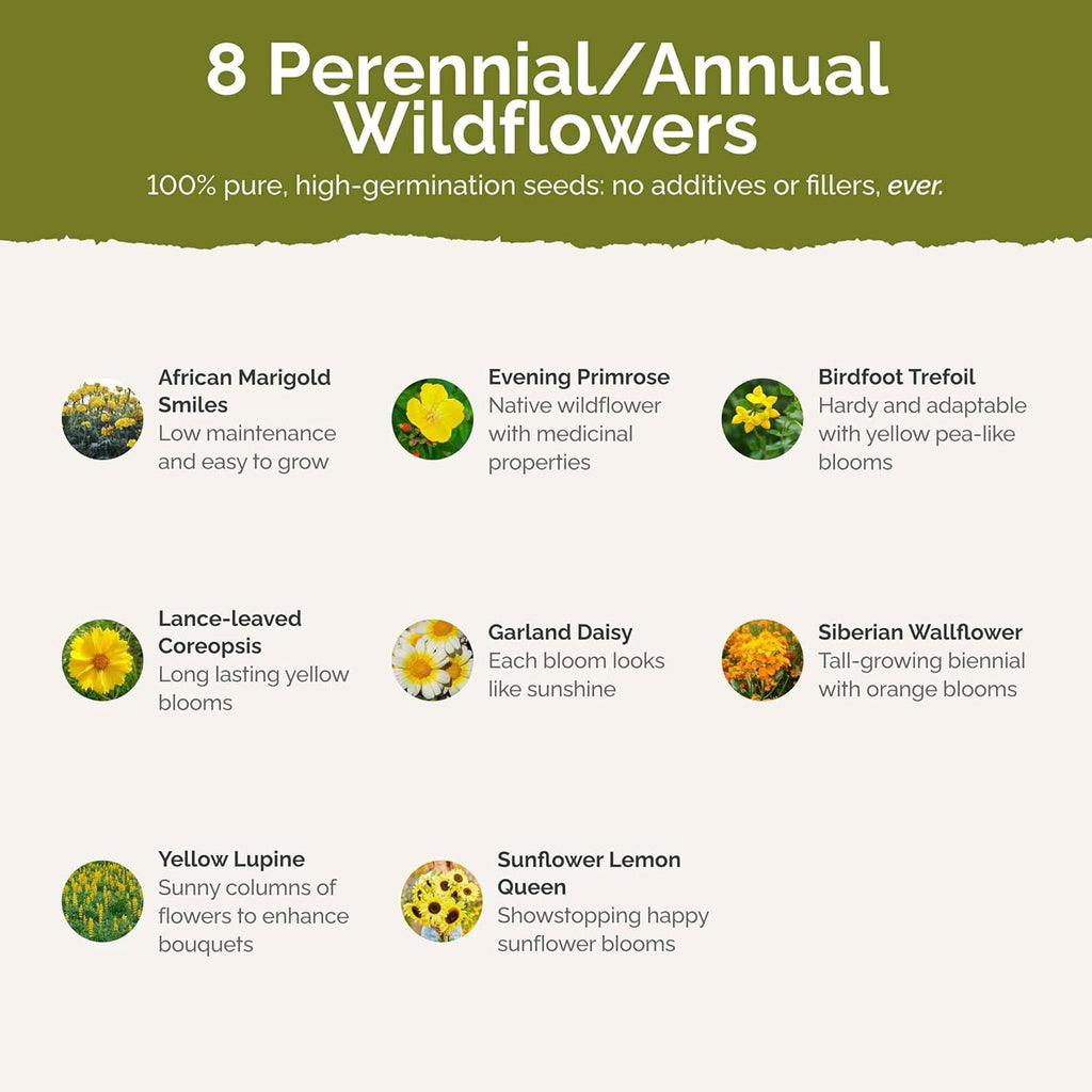 Eden Brothers Ole Yeller Wildflower Mixed Seeds for Planting, 5 lb, 2,400,000+ Seeds with African Marigold, Sunflower | Attracts Pollinators, Plant in Spring or Fall, Zones 3, 4, 5, 6, 7, 8, 9, 10