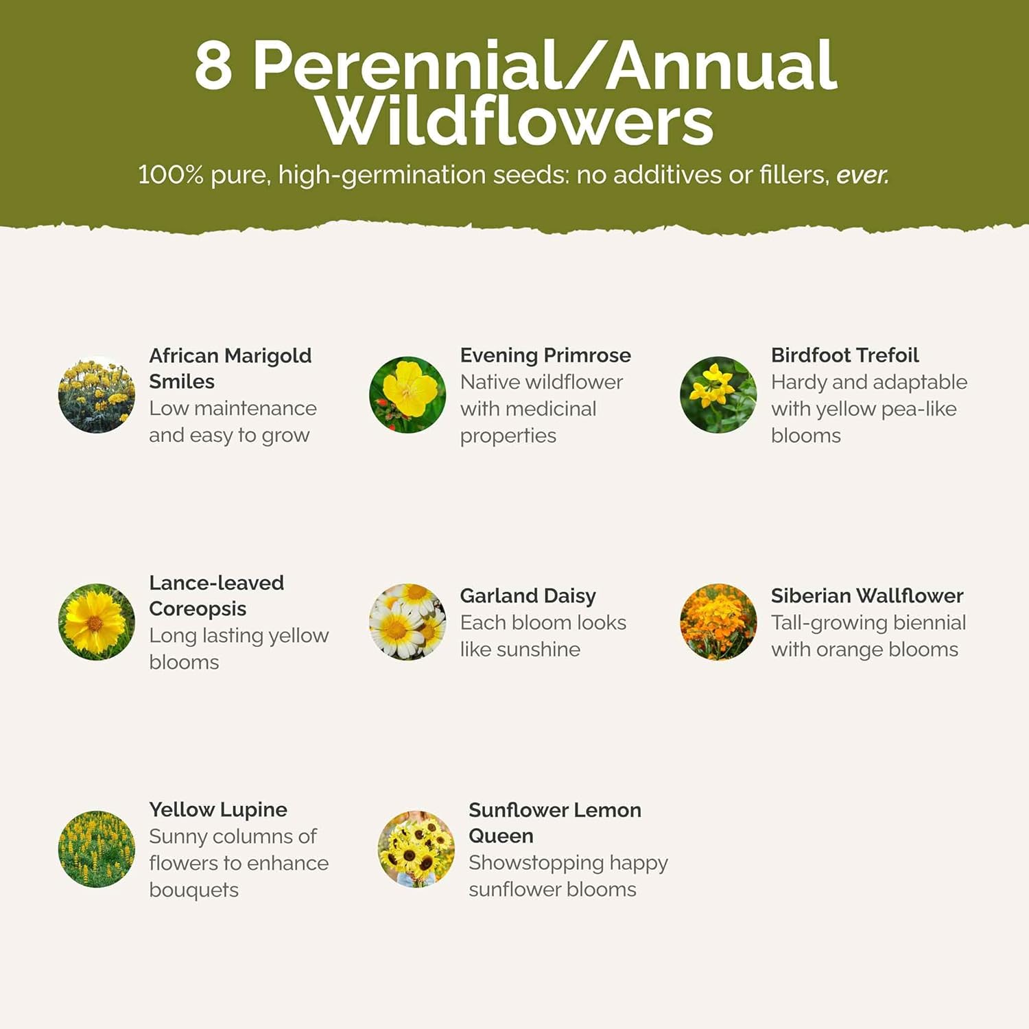 Eden Brothers Ole Yeller Wildflower Mixed Seeds for Planting, 5 lb, 2,400,000+ Seeds with African Marigold, Sunflower | Attracts Pollinators, Plant in Spring or Fall, Zones 3, 4, 5, 6, 7, 8, 9, 10