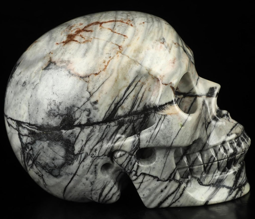 Skullis 5.0”Picasso Jasper Crystal Skull, Hand Carved Gemstone Fine Art Sculpture, Reiki Healing Stone Statue.3159