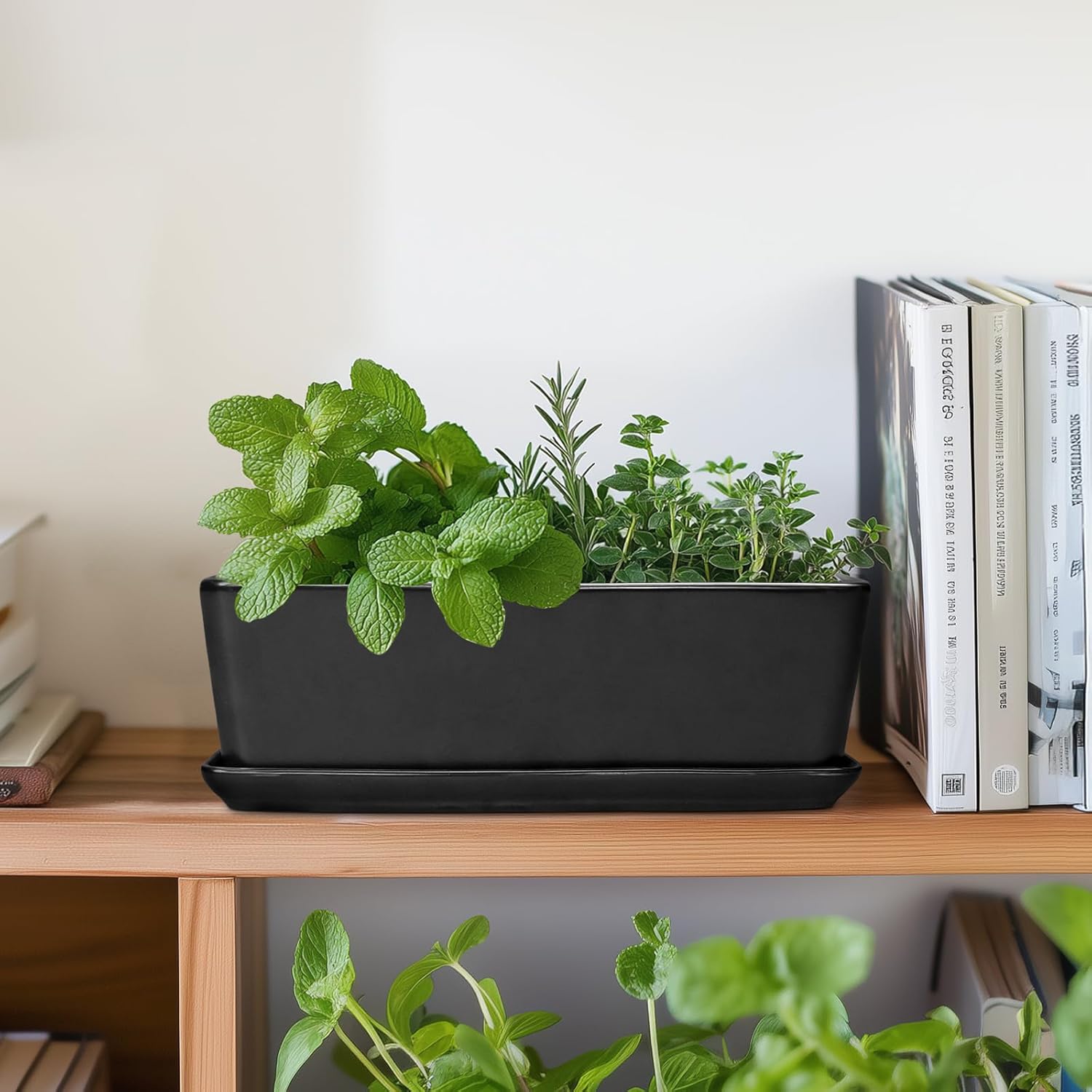 SQOWL Rectangle Planter - 10 Inch Ceramic Plant Pots with Drainage Hole and Saucer, Rectangular Succulent Planters for Indoor Plants, Flower Cactus Herb Pots Outdoor, Room Decor, Garden Gifts, Black