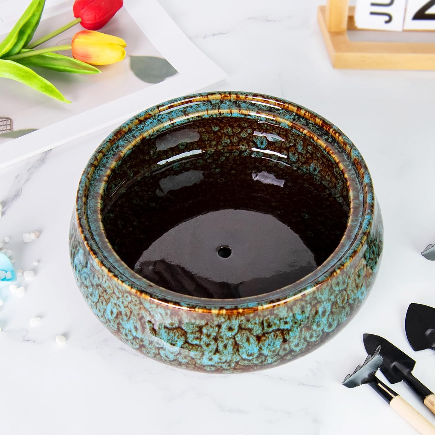 ARTKETTY Succulent Pots - 8 Inch Plant Pot, Large Bonsai Pots with Drainage, Ceramic Planters for Indoor Outdoor Plants, Round Shallow Cactus Flower Plant Container Bowl Decorative Home Garden