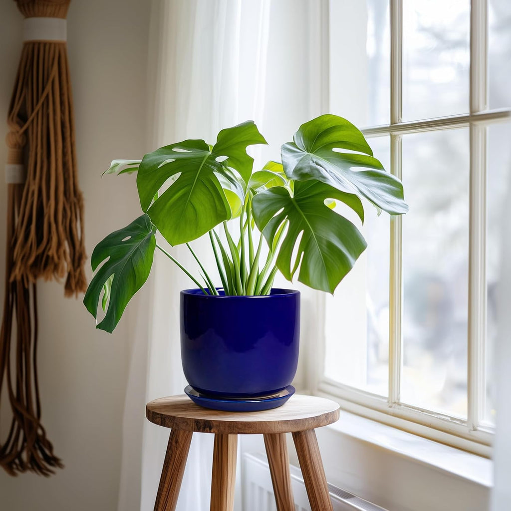 Ceramic Flower Pot 7 Inch - Cylinder 7 Inch Round Planter for Cactus Orchid Plants with Drainage Hole and Saucer, Home Office Room Desk Decor, Blue