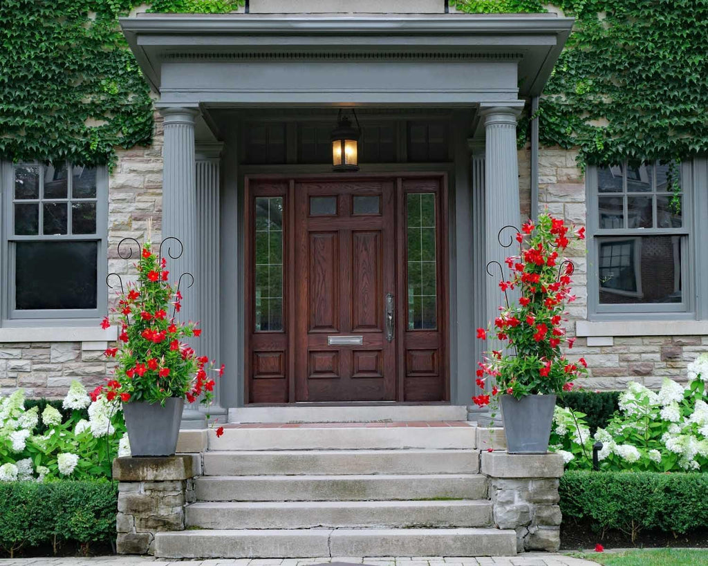 4 Pack 32'' Trellis for Potted Plants, Metal Garden Trellis for Climbing Plants Outdoor, Indoor Plant Trellis Black Coated Flower Pot Trellis for Climbing Plants Houseplants Vine Ivy