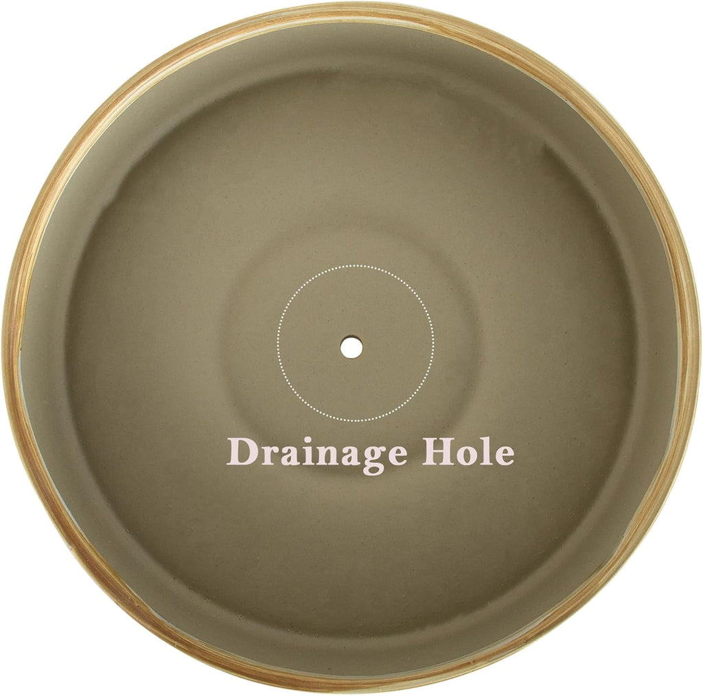 ARTKETTY Succulent Pots - 11 Inch Large Plant Pots Ceramic Bonsai Pots with Drainage Stand, Shallow Succulent Planters for Indoor Plants Decorative Flower Cactus Planter Bowl